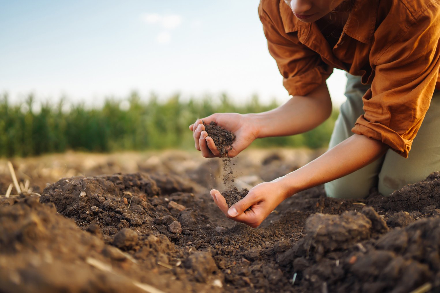 Female Hand of expert farmer collect soil and checking soil health before growth a seed of vegetable